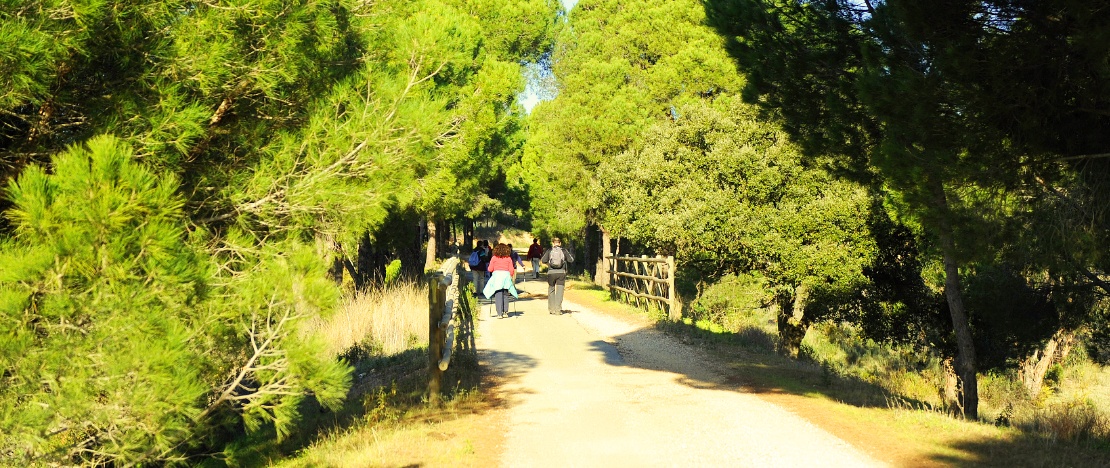 Turistas en la Vía Verde Molinos del Agua de Valverde del Camino en Huelva, Andalucía