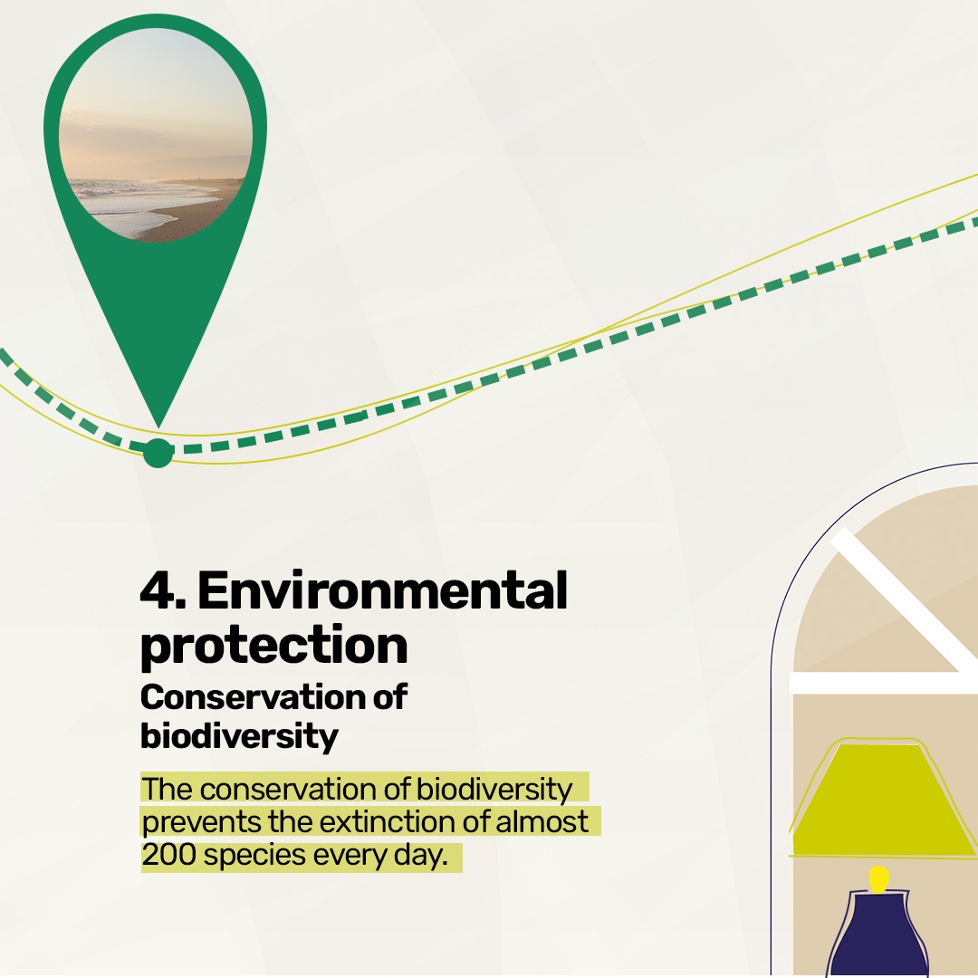 How to identify sustainable accommodation