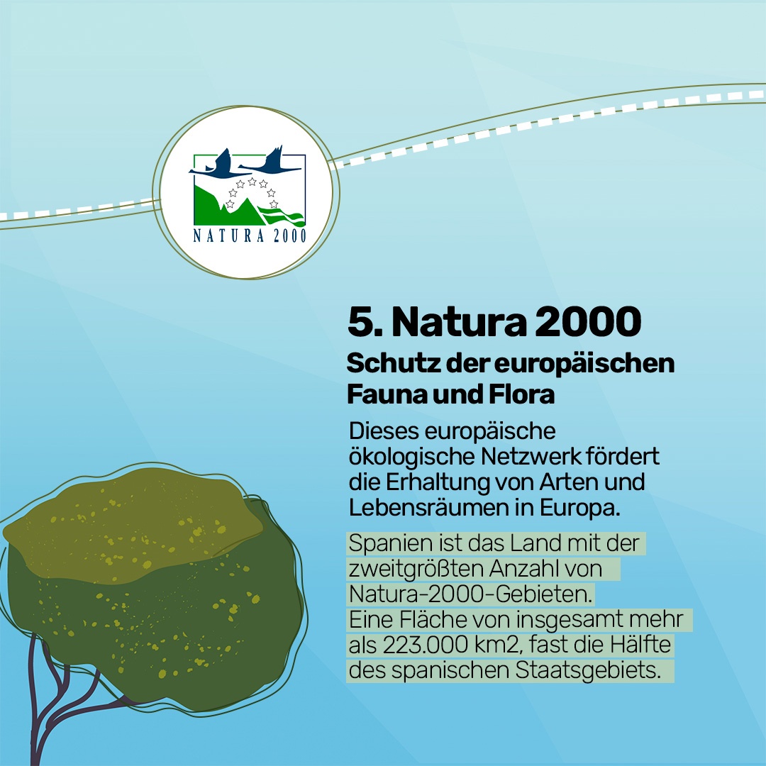 Wie erkenne ich die wichtigsten Zertifizierungen für Naturgebiete?