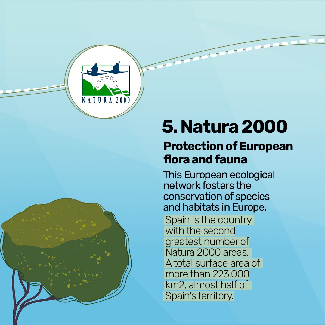 How to identify the main certificates in natural areas