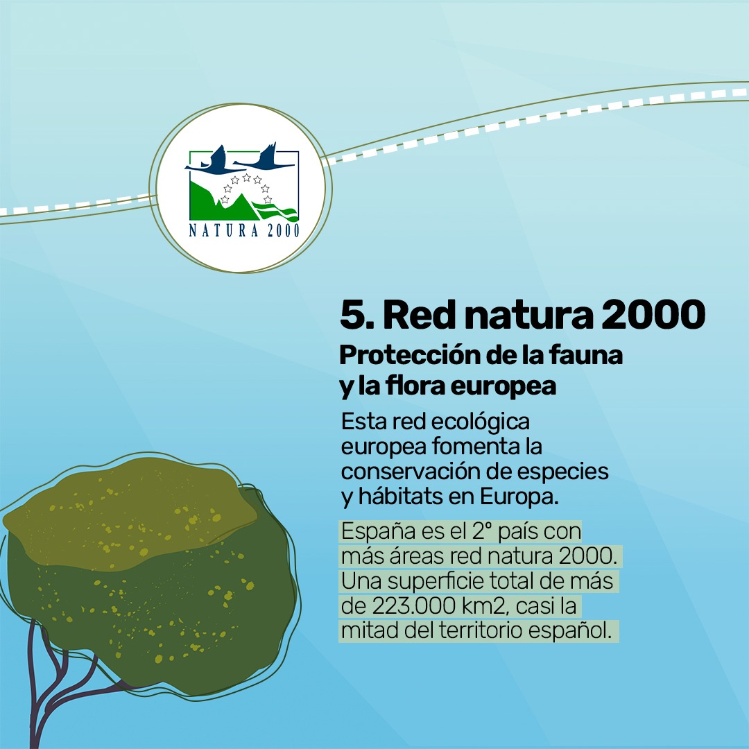 Cómo identificar las principales certificaciones en espacios naturales