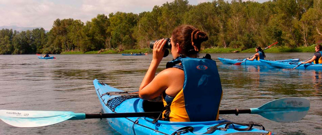 Un turista fa birdwatching in kayak tra Garcia e Móra de Ebro a Tarragona, in Catalogna