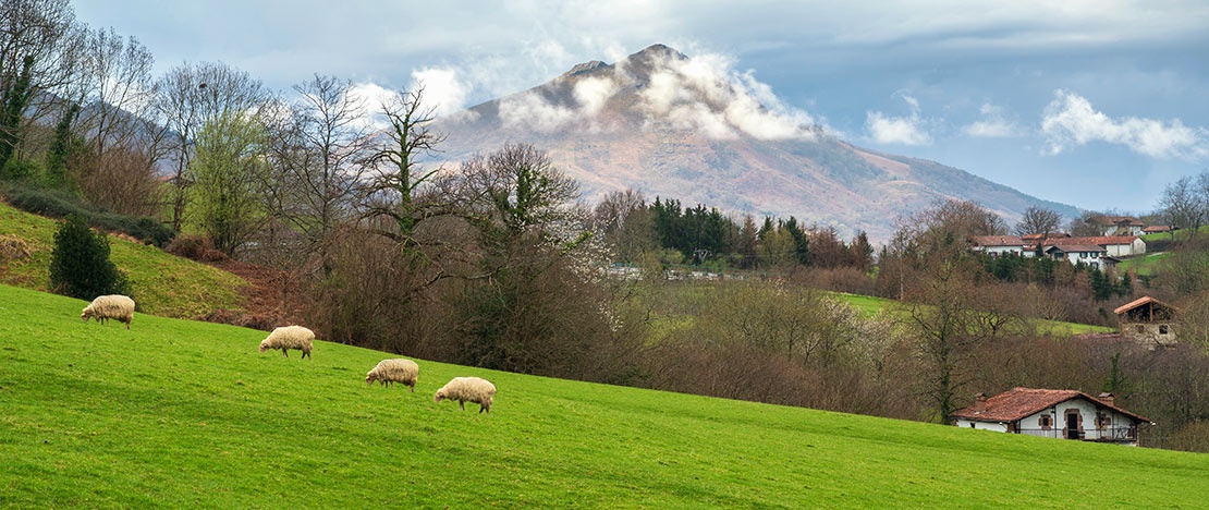 Paisaje rural en el valle de Baztán, Navarra