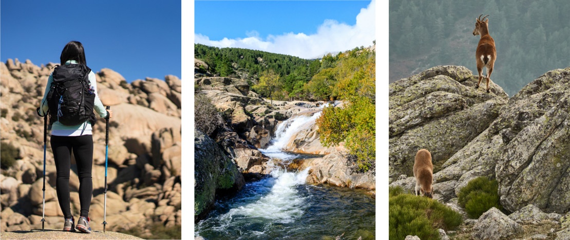 Izquierda: Turista en la Sierra de Guadarrama / Centro: Zona de la Pedriza / Derecha: Cabra Montés en la Sierra de Guadarrama