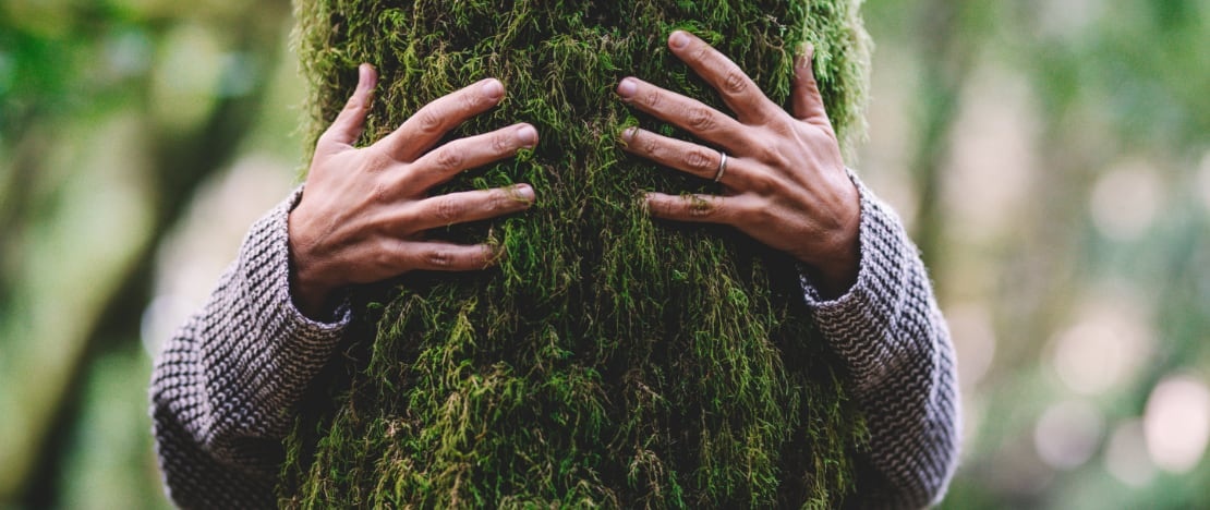 Muestra de afecto abrazando un árbol en el bosque