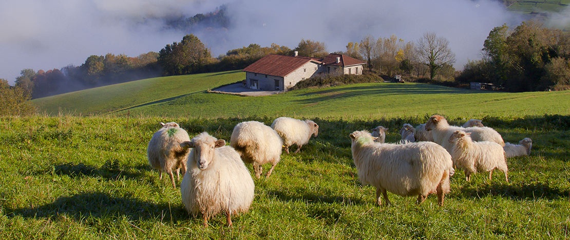 Gainza en la Comarca del Goierri, País Vasco