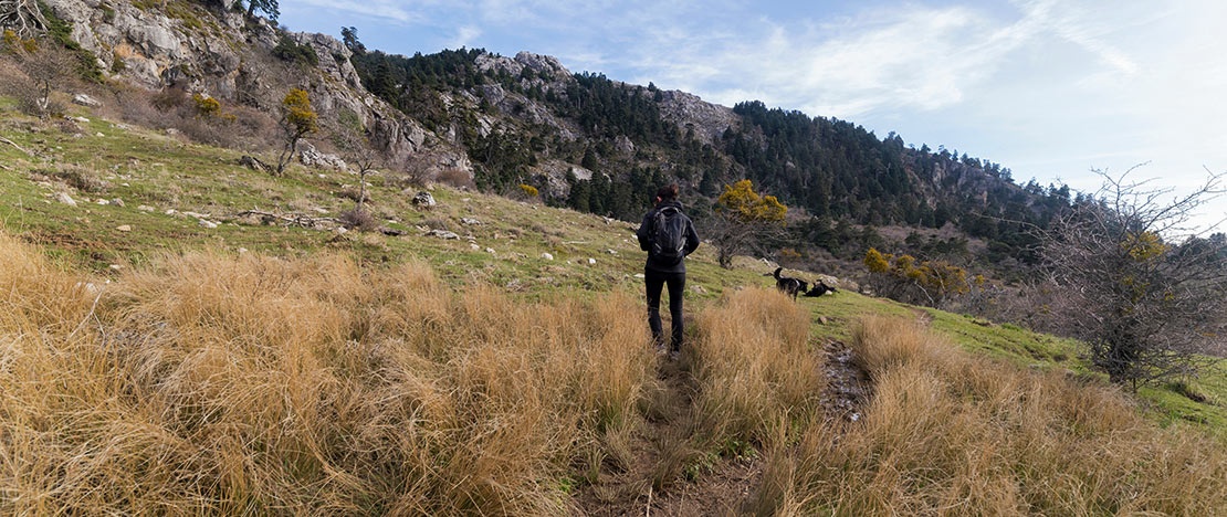 Turista en el Parque Nacional de la Sierra de las Nieves, Andalucía